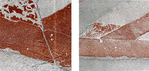 Risographien